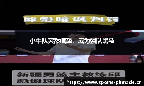 小牛队突然崛起，成为强队黑马
