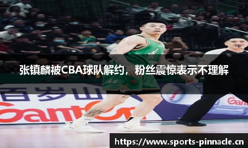 张镇麟被CBA球队解约，粉丝震惊表示不理解