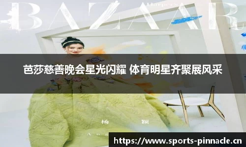 芭莎慈善晚会星光闪耀 体育明星齐聚展风采