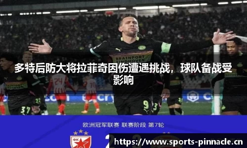 多特后防大将拉菲奇因伤遭遇挑战，球队备战受影响