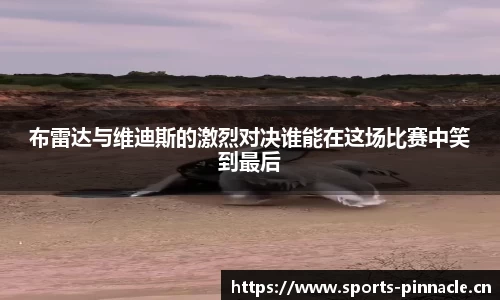 平博体育官网