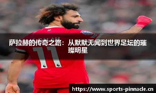 平博体育官网