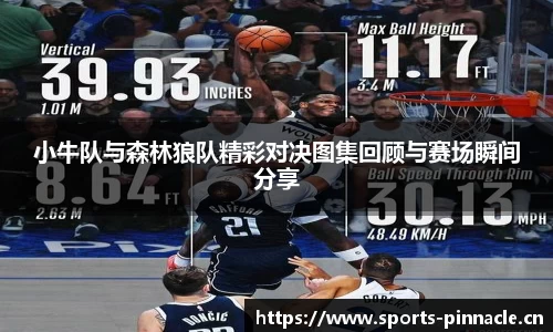 小牛队与森林狼队精彩对决图集回顾与赛场瞬间分享